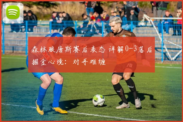 森林狼唐斯赛后表态 详解0-3落后掘金心境：对手难缠