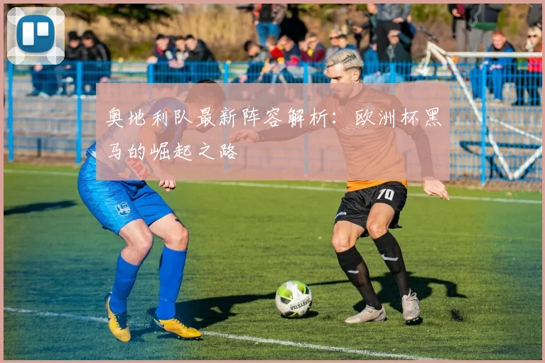 奥地利队最新阵容解析：欧洲杯黑马的崛起之路
