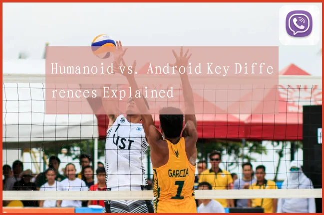 Humanoid vs. Android Key Differences Explained