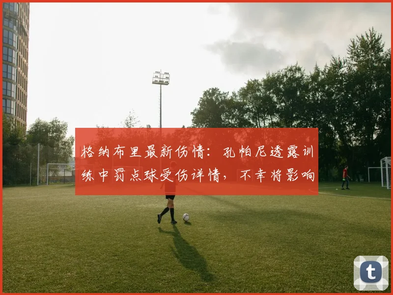 格纳布里最新伤情：孔帕尼透露训练中罚点球受伤详情，不幸将影响2026赛季部署